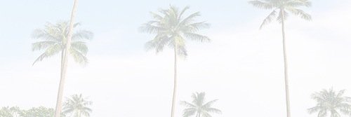 EmmaRPGFOC's profile banner image