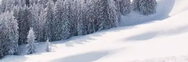 Dayolong's profile banner image