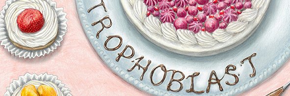 伊尾紳吾┃産科医 banner