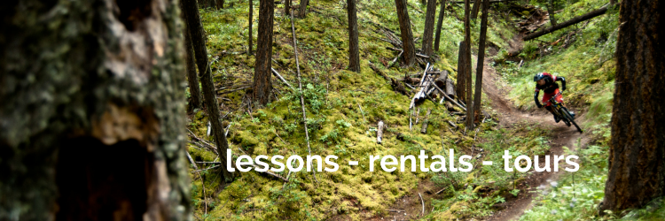 Endless Biking banner