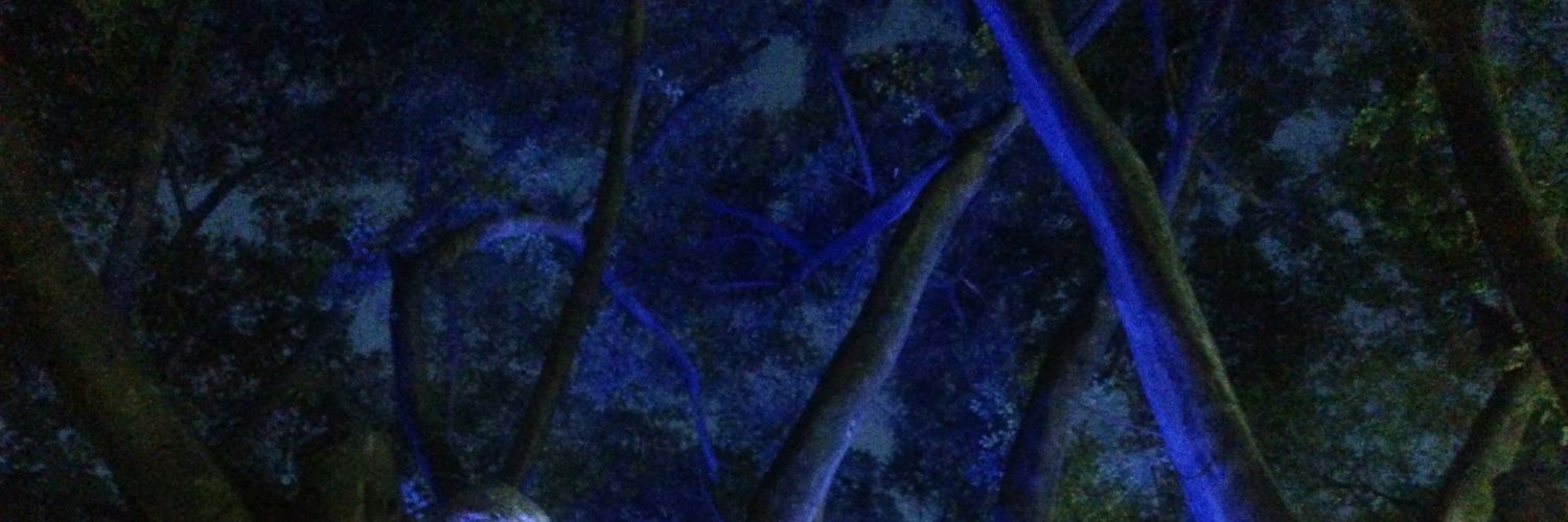 NathGRrrr's profile banner image