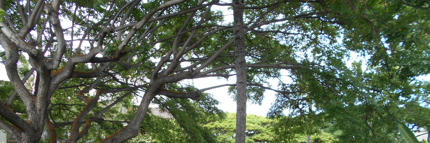 capsitan's profile banner image