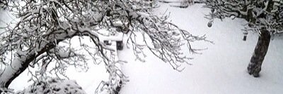 BryceBerryBlue's profile banner image