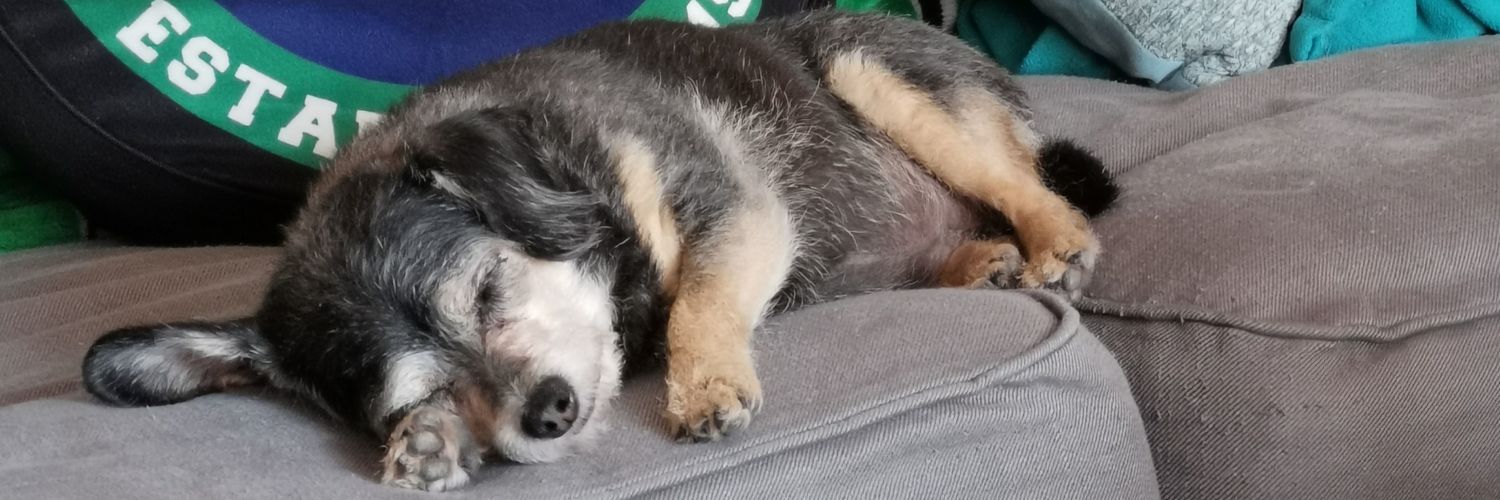 EmLou3's profile banner image