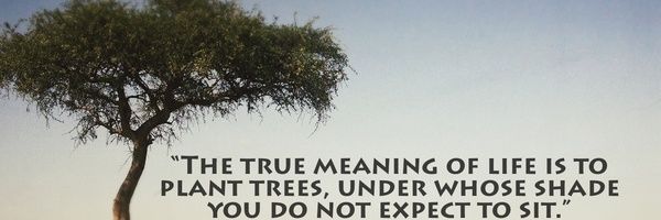 The_Jillda's profile banner image