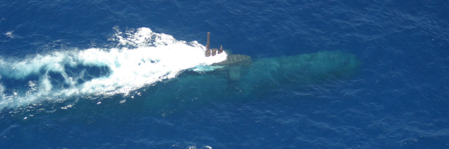 Sascha Rackwitz banner