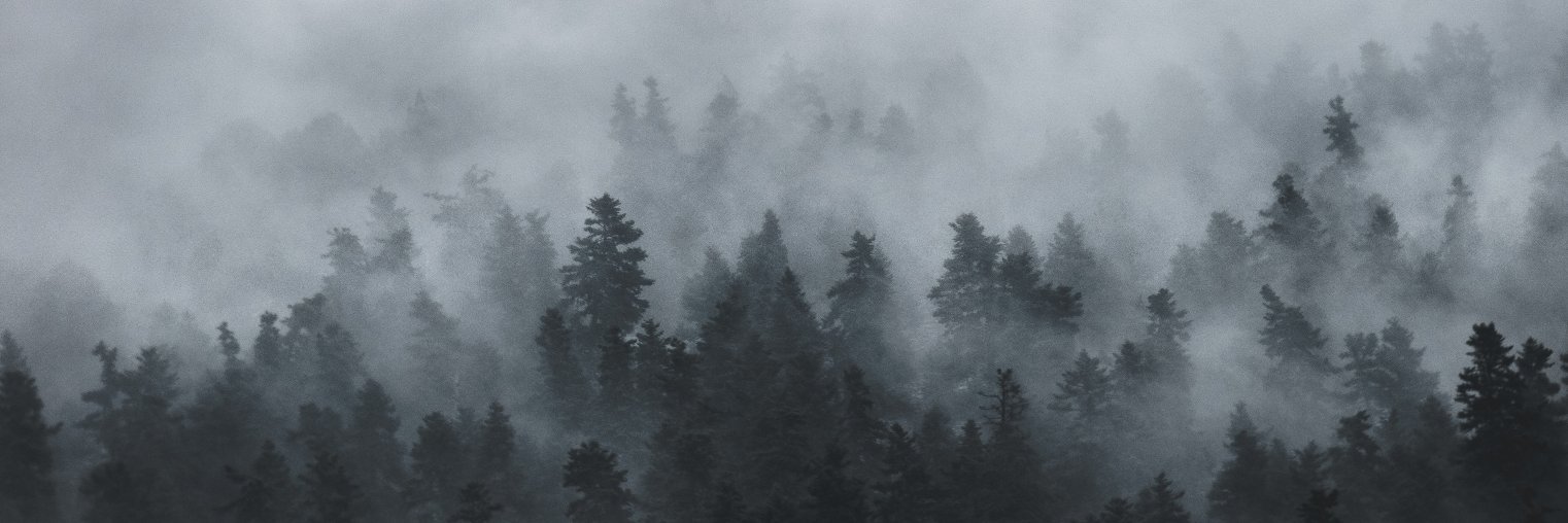 anaklustide's profile banner image