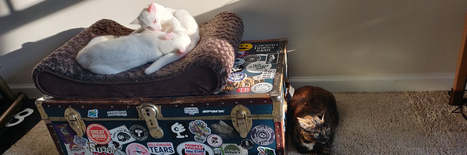 David Antanavige banner