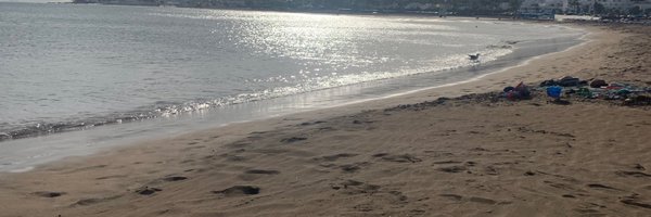 AshCurryOcd Profile Banner