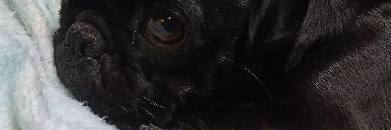 Rubycha10's profile banner image