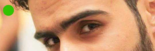 Mujahid ul islam banner