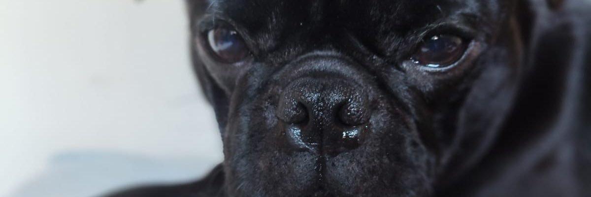 kellynhac_'s profile banner image