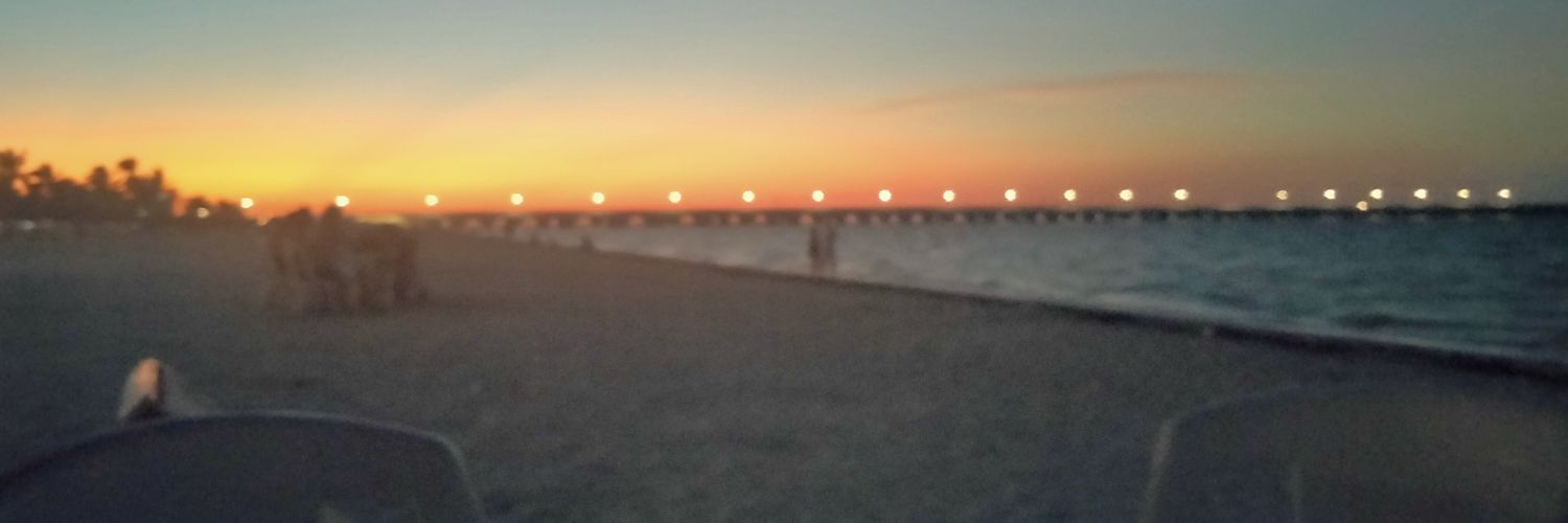icedillot's profile banner image