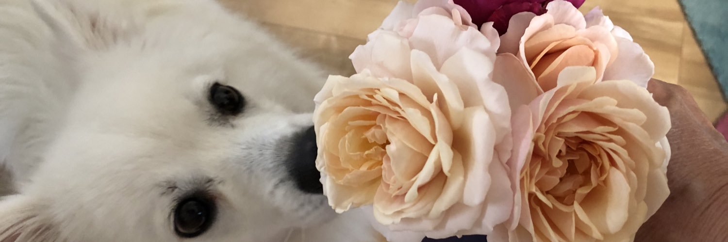 marmarurinn's profile banner image