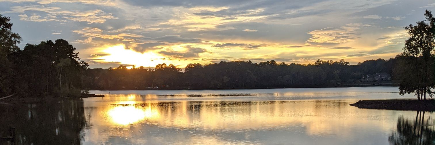 wildflawyer's profile banner image