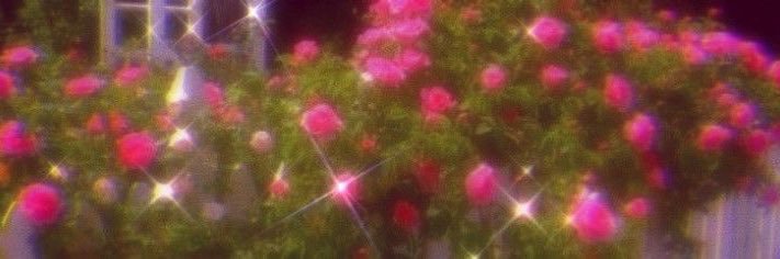 Ems_Draper's profile banner image