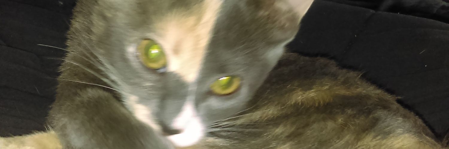 chefmagreenberg's profile banner image