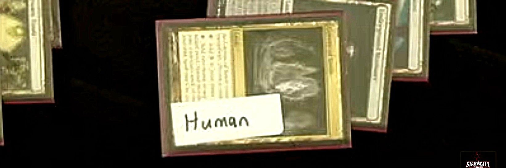 CavernOnHumans™️ 🙋‍♂️ banner