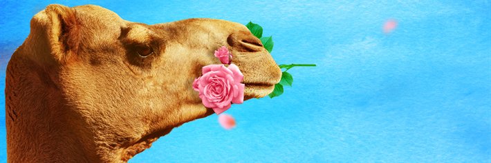 ALBALOUDEYA's profile banner image