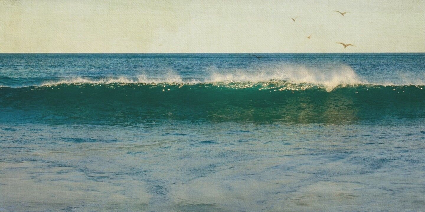 wangerboshiwo's profile banner image