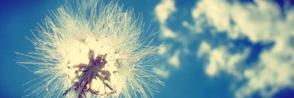 Natalie_Potvin's profile banner image