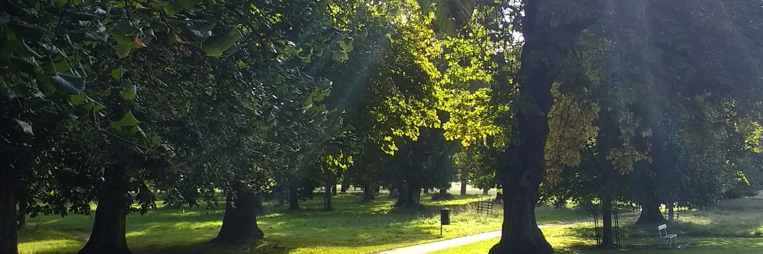 nicolaboran's profile banner image