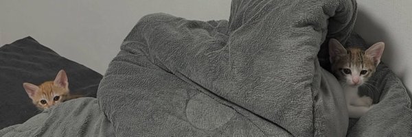 MIUNG010 Profile Banner