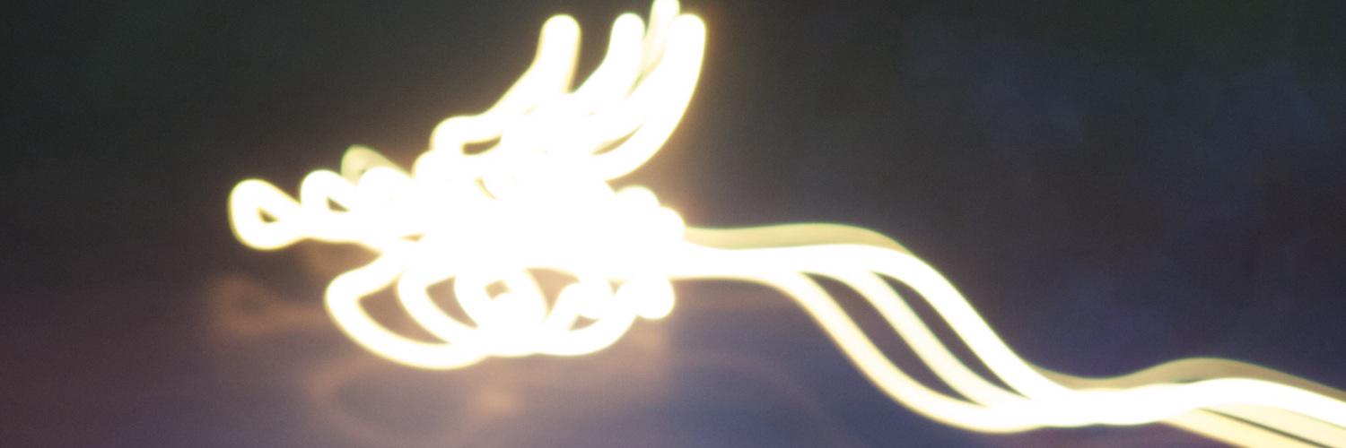 bergesdona's profile banner image