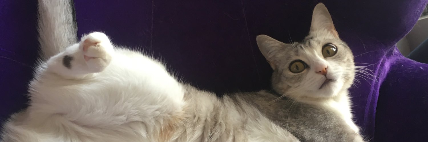 Ameliaazman's profile banner image