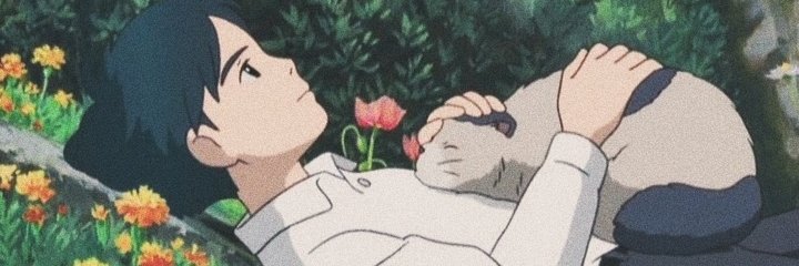 JaceMonBebe's profile banner image