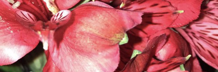 keanna499's profile banner image