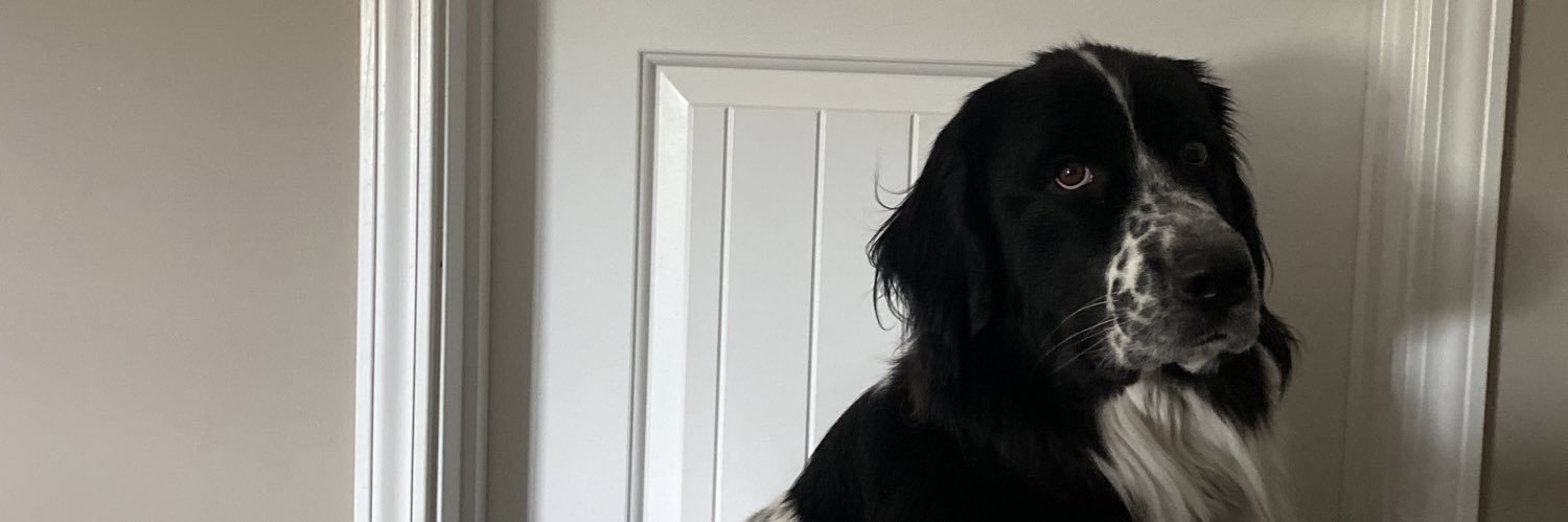 Madison_Bri1's profile banner image