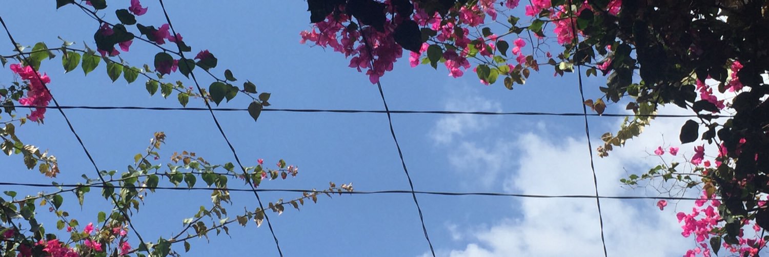 Hanine_'s profile banner image