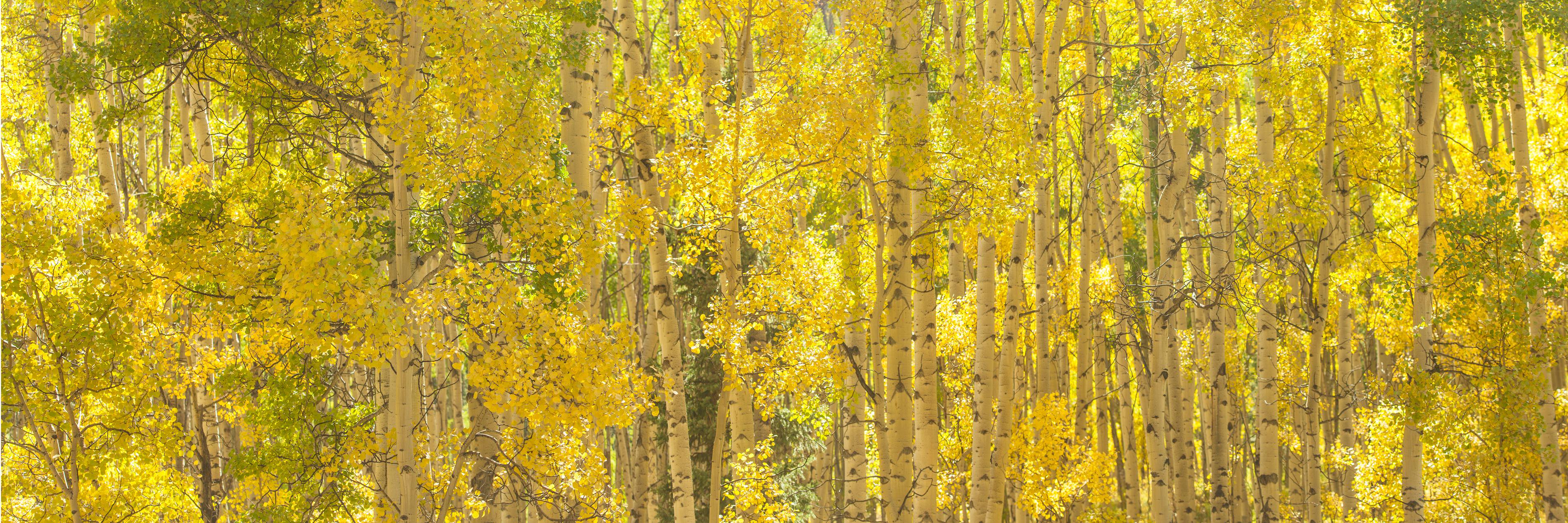 alignbydesignhc's profile banner image
