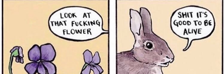 fuccbigcorn's profile banner image