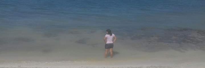 beatrizpejime's profile banner image
