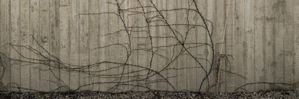 vigaarmada Profile Banner