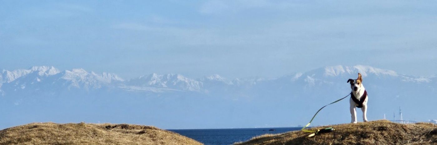 laf266's profile banner image