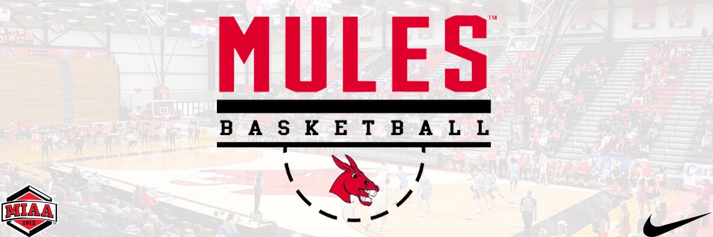 Mules Basketball banner