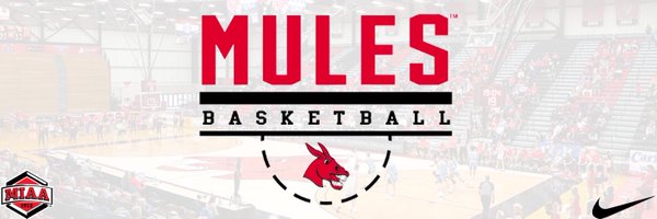 Mules Basketball Profile Banner