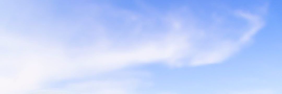 dangica's profile banner image