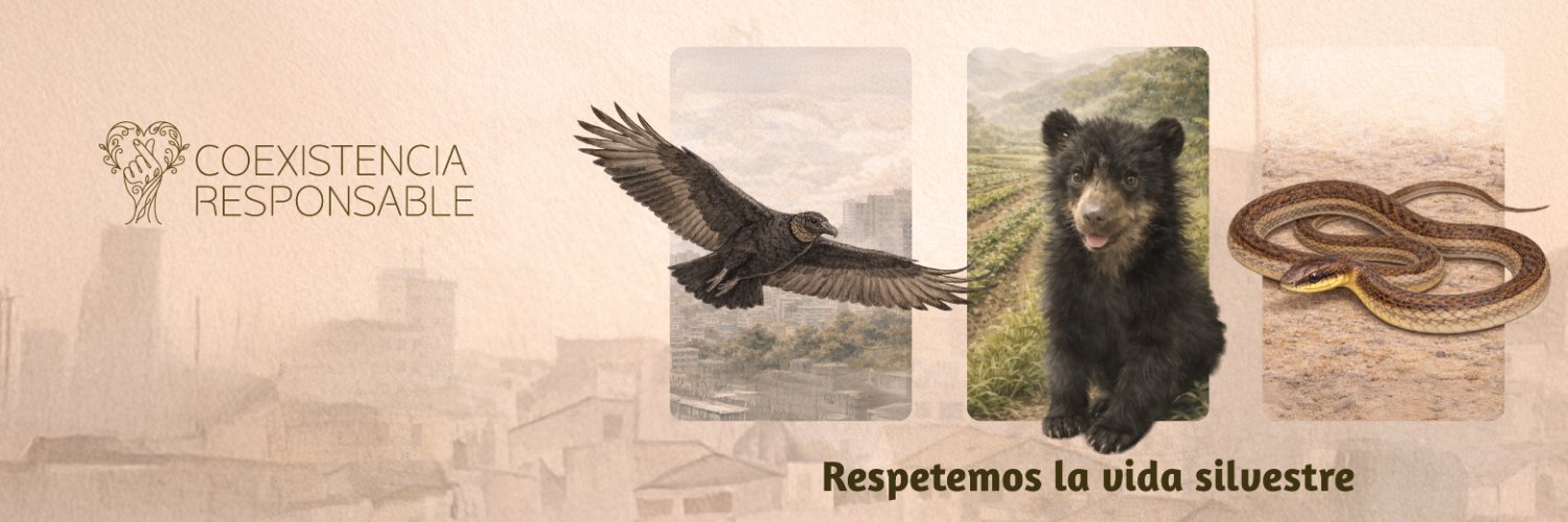 SerforPeru's profile banner image