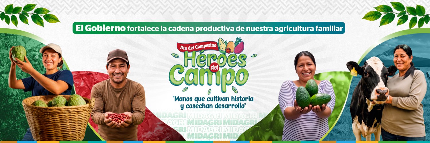 SerforPeru's profile banner image