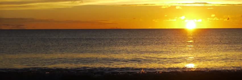WordsForReality's profile banner image