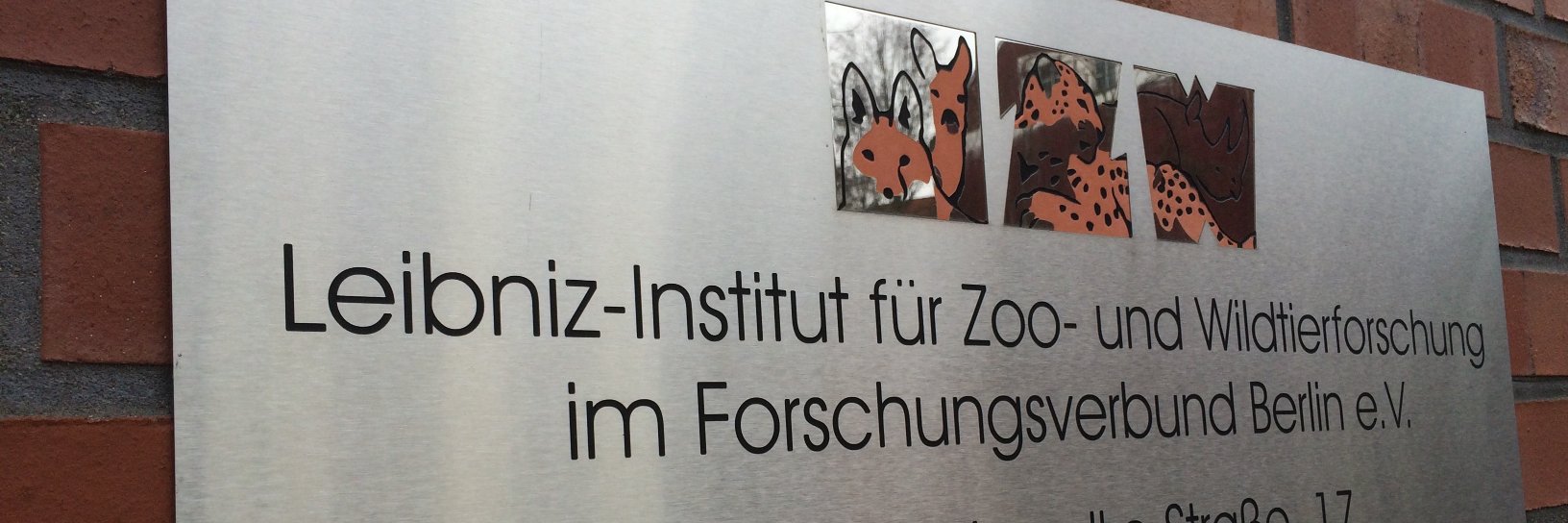 Leibniz-IZW banner