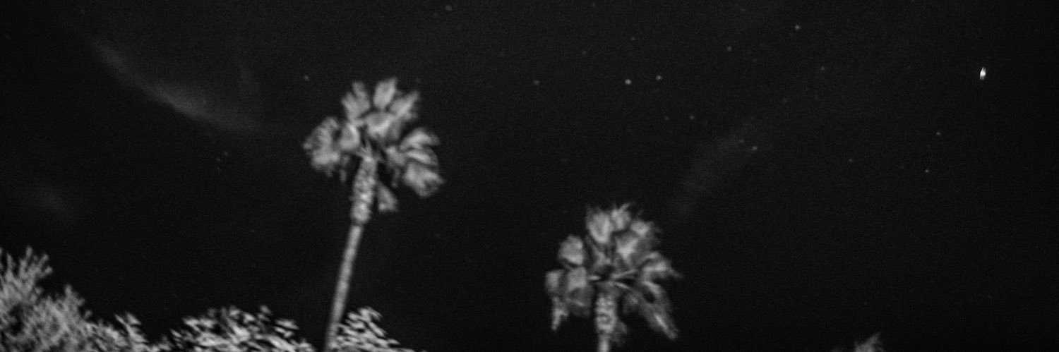 stylesfling's profile banner image