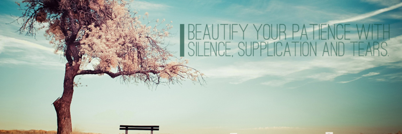 Sadab_ansari's profile banner image