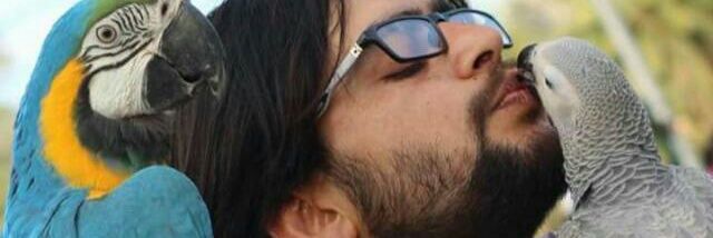 Junni_Vet's profile banner image