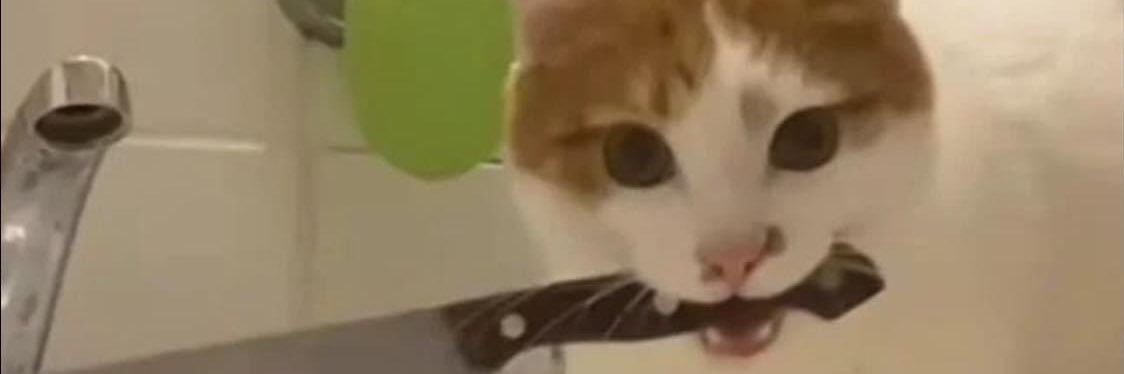 acaib0wI's profile banner image
