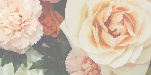 gabyadventina's profile banner image
